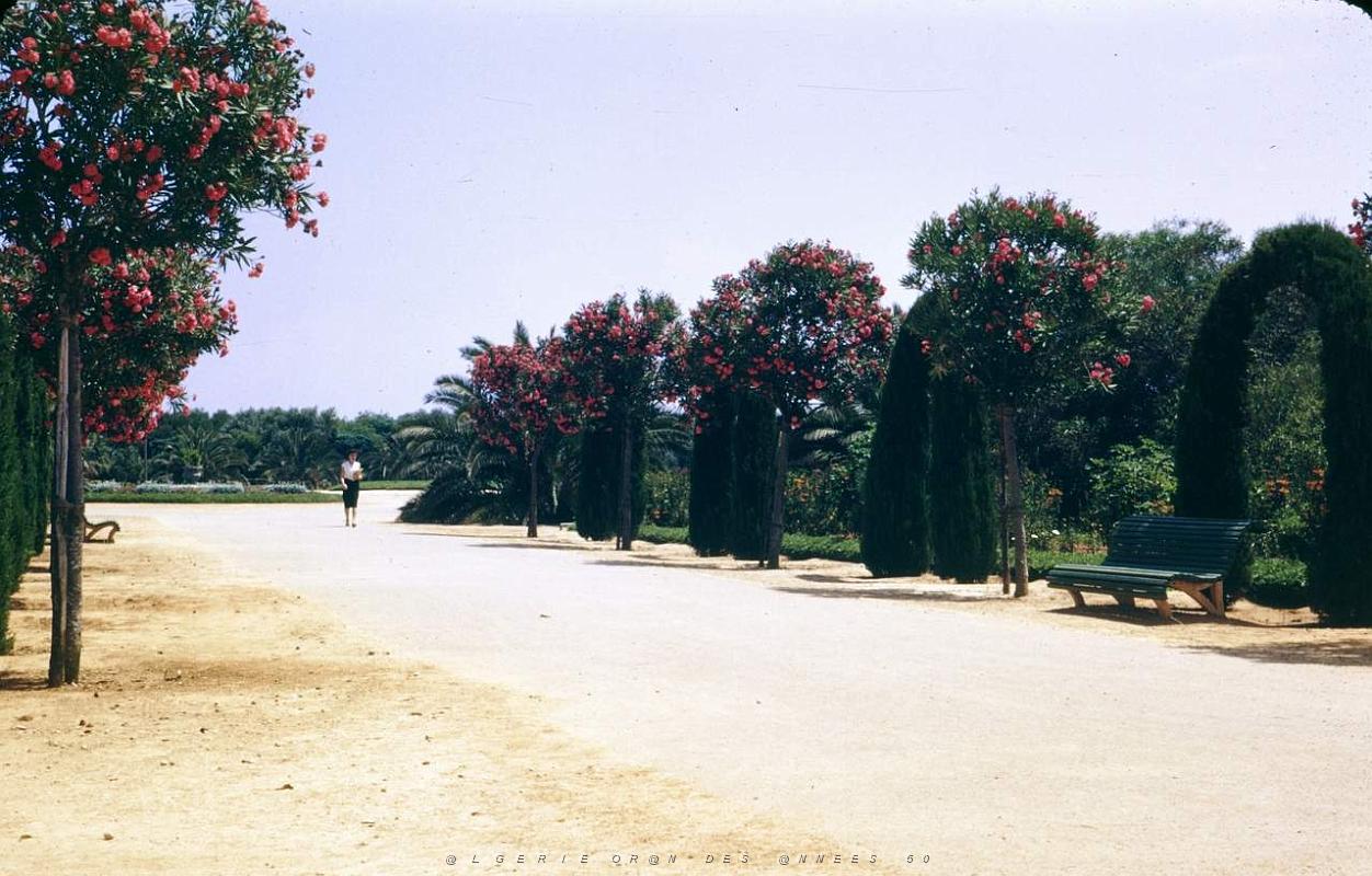 ORAN-Fr.Parc Municipal (2).jpg